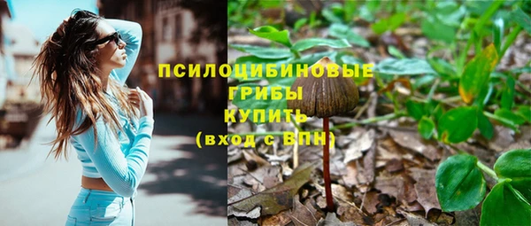 дурь Абинск