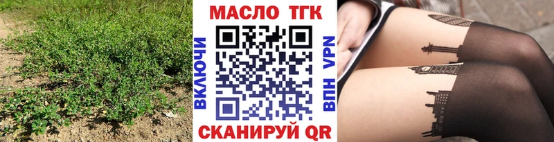 купить закладку  Заводоуковск  OMG зеркало  ТГК жижа 
