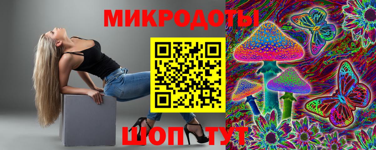 Галлюциногенные грибы Psilocybine cubensis Заводоуковск