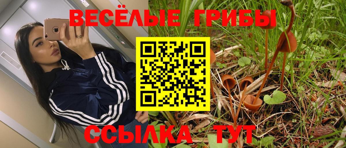 Заводоуковск  Галлюциногенные грибы мицелий  Вход с VPN  Галлюциногенные грибы Psilocybine cubensis 